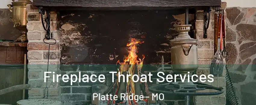 Fireplace Throat Services Platte Ridge - MO