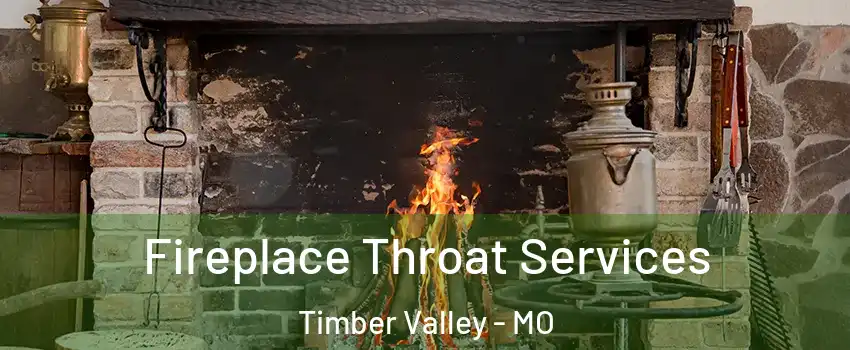Fireplace Throat Services Timber Valley - MO