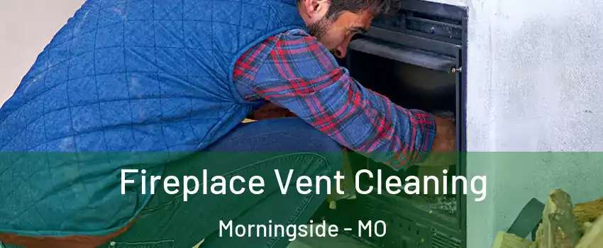Fireplace Vent Cleaning Morningside - MO