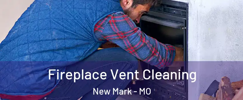 Fireplace Vent Cleaning New Mark - MO