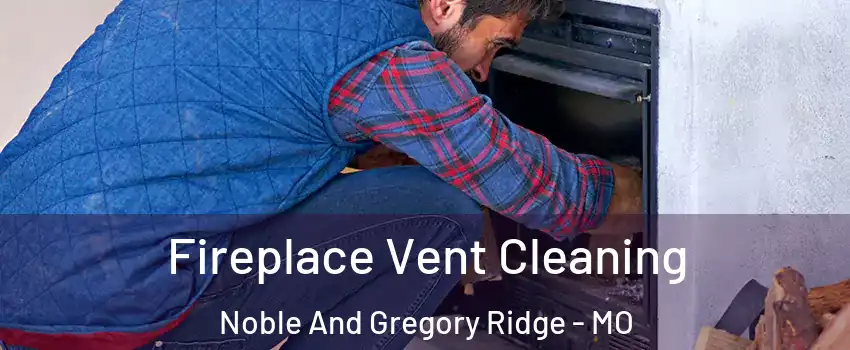 Fireplace Vent Cleaning Noble And Gregory Ridge - MO