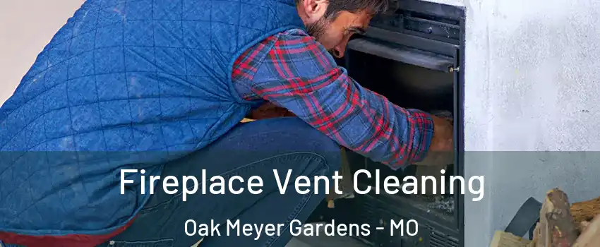 Fireplace Vent Cleaning Oak Meyer Gardens - MO