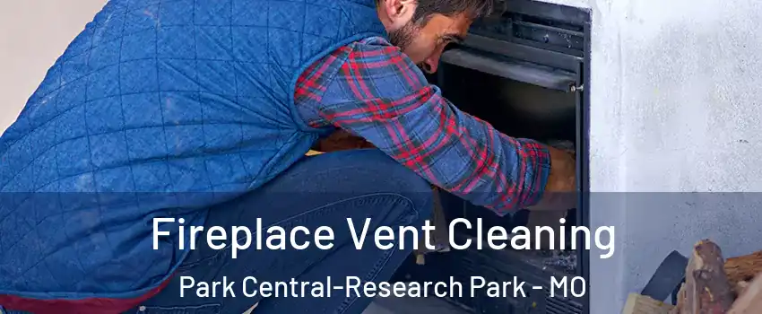 Fireplace Vent Cleaning Park Central-Research Park - MO