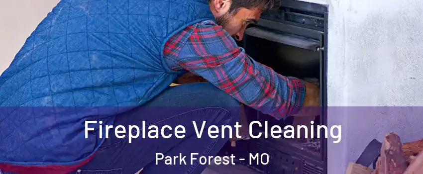 Fireplace Vent Cleaning Park Forest - MO