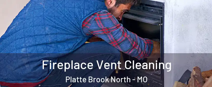 Fireplace Vent Cleaning Platte Brook North - MO