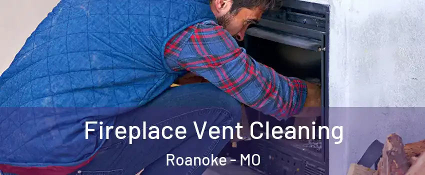 Fireplace Vent Cleaning Roanoke - MO