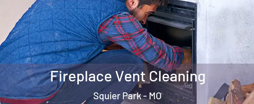 Fireplace Vent Cleaning Squier Park - MO
