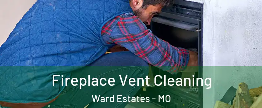 Fireplace Vent Cleaning Ward Estates - MO