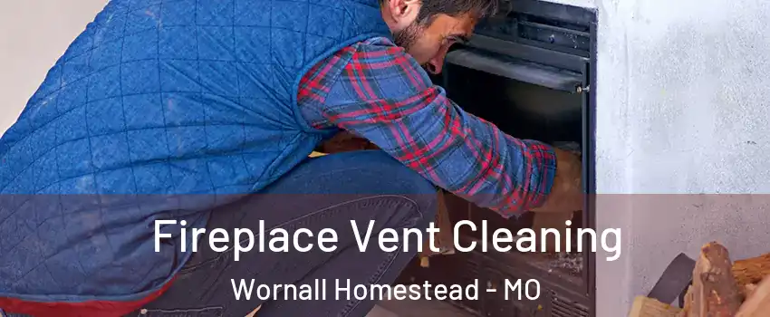 Fireplace Vent Cleaning Wornall Homestead - MO
