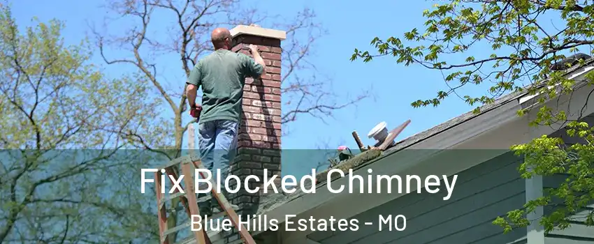 Fix Blocked Chimney Blue Hills Estates - MO