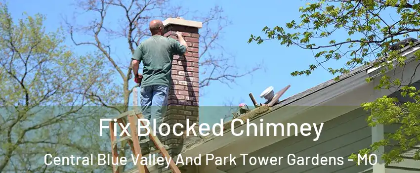 Fix Blocked Chimney Central Blue Valley And Park Tower Gardens - MO