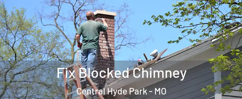 Fix Blocked Chimney Central Hyde Park - MO