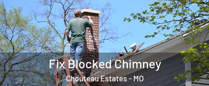 Fix Blocked Chimney Chouteau Estates - MO