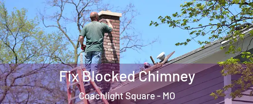 Fix Blocked Chimney Coachlight Square - MO