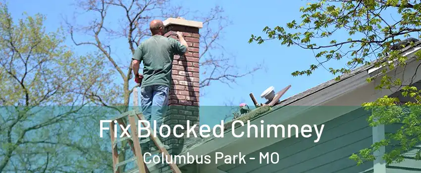 Fix Blocked Chimney Columbus Park - MO