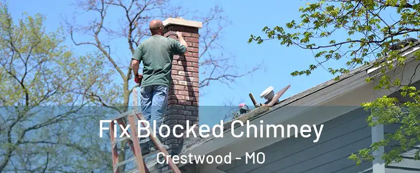 Fix Blocked Chimney Crestwood - MO