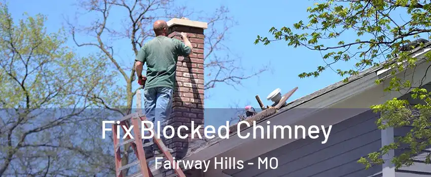 Fix Blocked Chimney Fairway Hills - MO