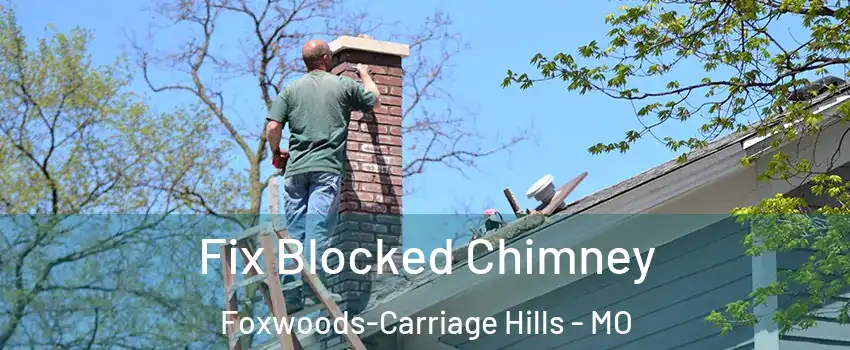 Fix Blocked Chimney Foxwoods-Carriage Hills - MO