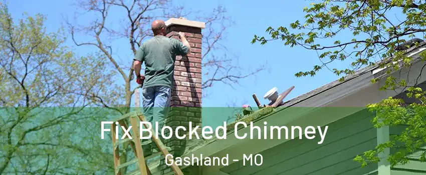 Fix Blocked Chimney Gashland - MO