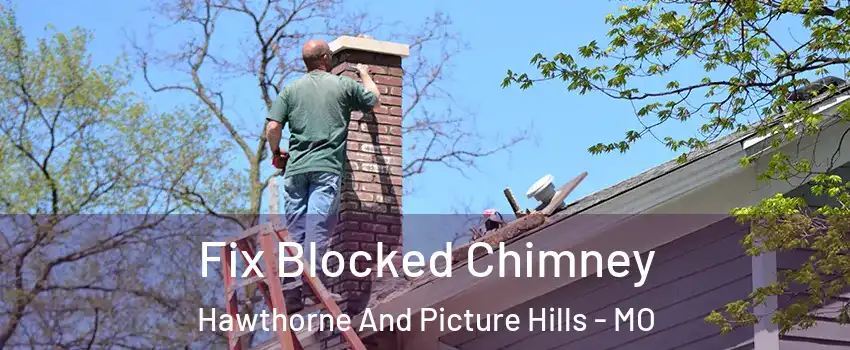 Fix Blocked Chimney Hawthorne And Picture Hills - MO