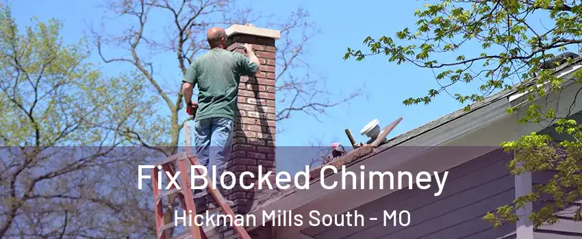 Fix Blocked Chimney Hickman Mills South - MO
