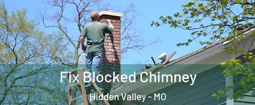 Fix Blocked Chimney Hidden Valley - MO