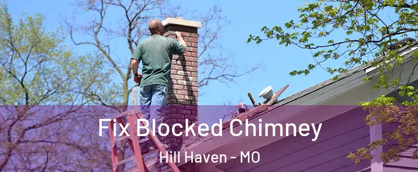 Fix Blocked Chimney Hill Haven - MO
