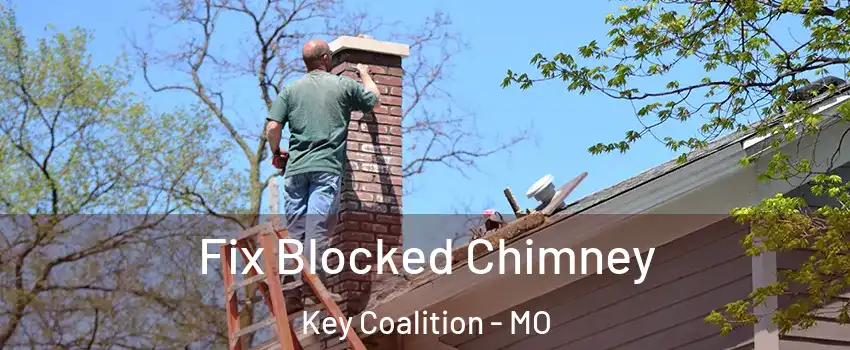 Fix Blocked Chimney Key Coalition - MO