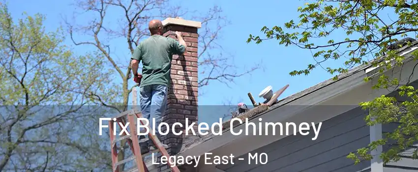 Fix Blocked Chimney Legacy East - MO