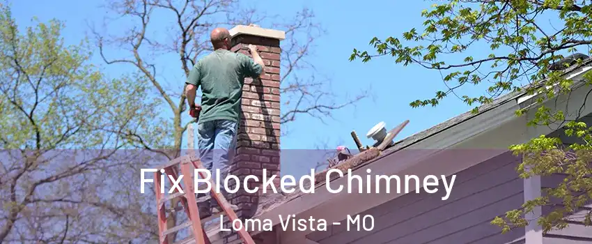 Fix Blocked Chimney Loma Vista - MO