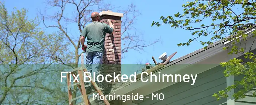 Fix Blocked Chimney Morningside - MO