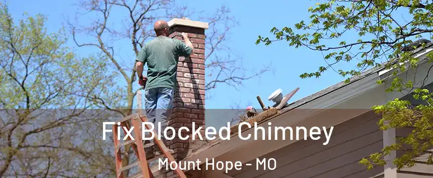 Fix Blocked Chimney Mount Hope - MO