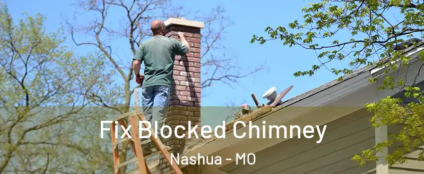 Fix Blocked Chimney Nashua - MO