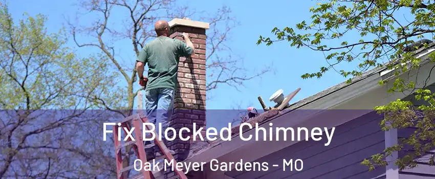 Fix Blocked Chimney Oak Meyer Gardens - MO
