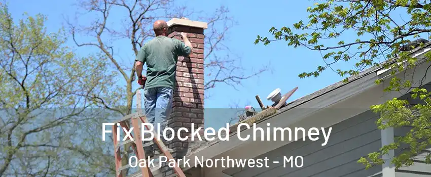Fix Blocked Chimney Oak Park Northwest - MO