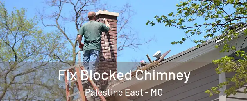 Fix Blocked Chimney Palestine East - MO