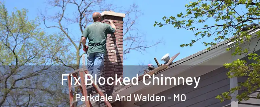 Fix Blocked Chimney Parkdale And Walden - MO
