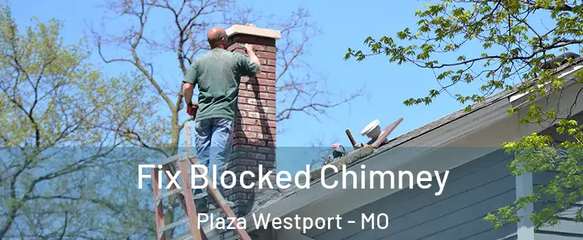 Fix Blocked Chimney Plaza Westport - MO