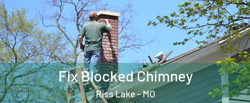 Fix Blocked Chimney Riss Lake - MO