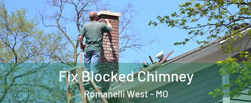 Fix Blocked Chimney Romanelli West - MO