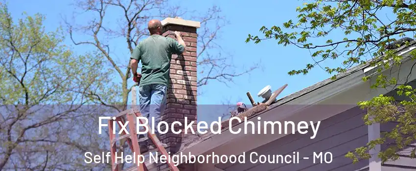 Fix Blocked Chimney Self Help Neighborhood Council - MO