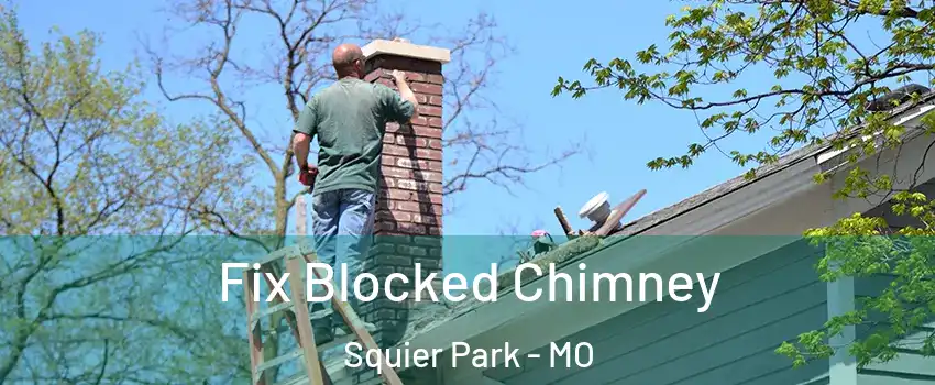 Fix Blocked Chimney Squier Park - MO