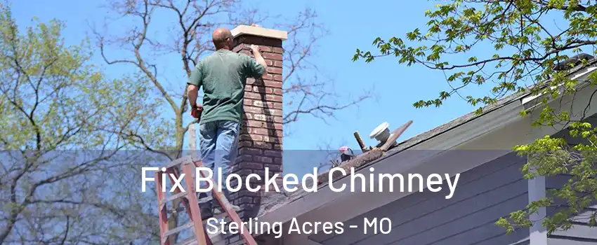 Fix Blocked Chimney Sterling Acres - MO