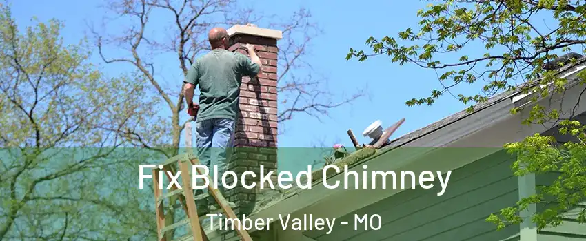 Fix Blocked Chimney Timber Valley - MO