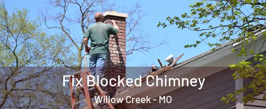 Fix Blocked Chimney Willow Creek - MO