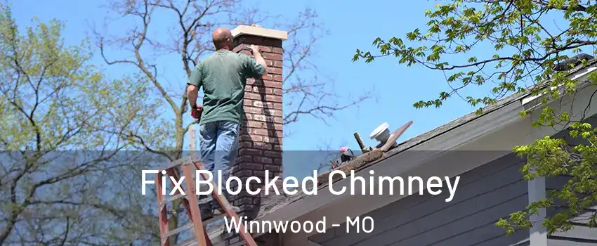 Fix Blocked Chimney Winnwood - MO