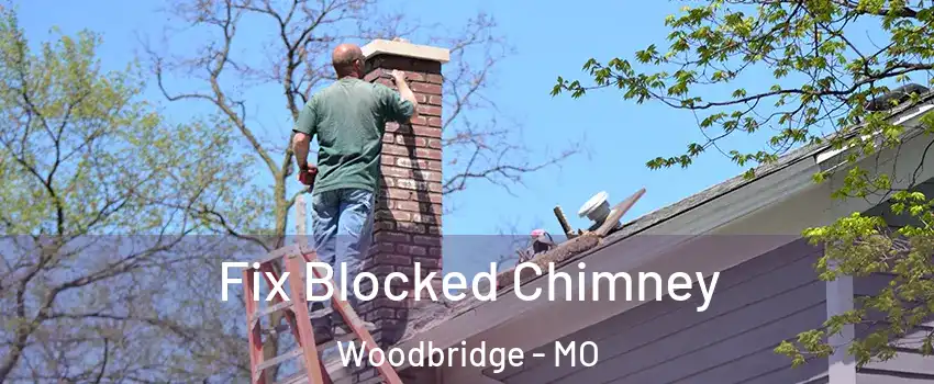 Fix Blocked Chimney Woodbridge - MO