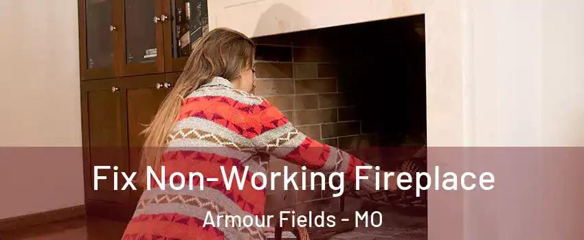 Fix Non-Working Fireplace Armour Fields - MO