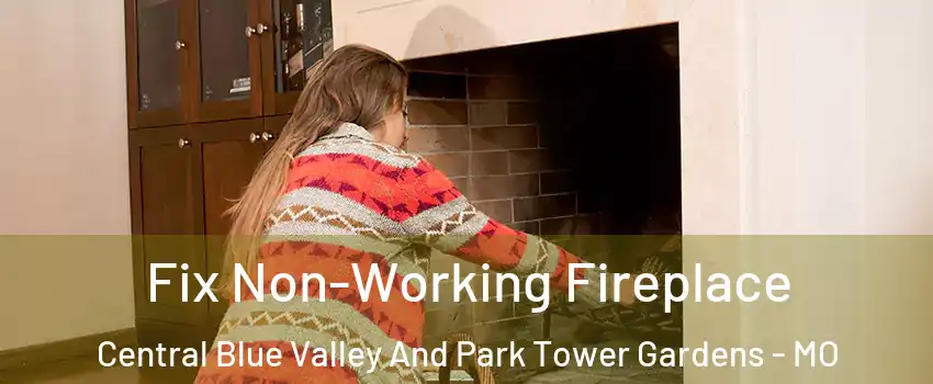 Fix Non-Working Fireplace Central Blue Valley And Park Tower Gardens - MO