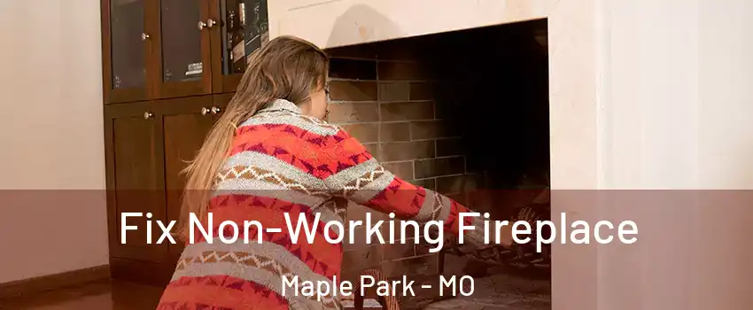 Fix Non-Working Fireplace Maple Park - MO